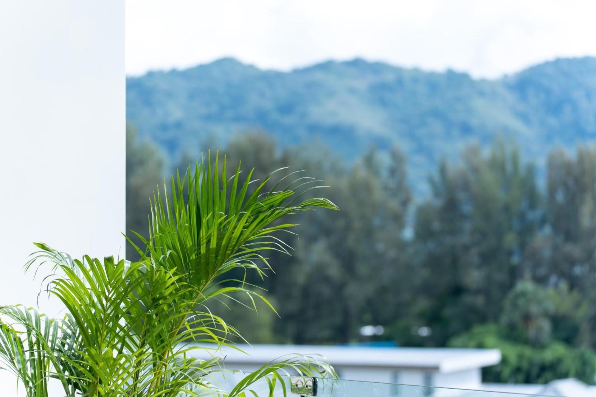 Sole Mio Boutique Hotel And Wellness - Adults Only Bang Tao-stranden Eksteriør bilde